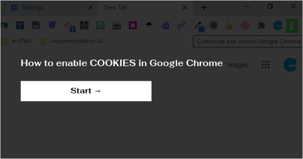 How to enable COOKIES in Google Chrome