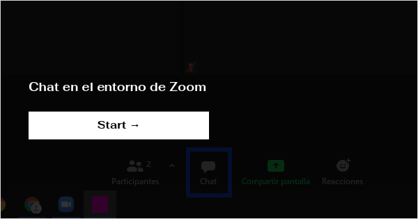 ver chat de zoom