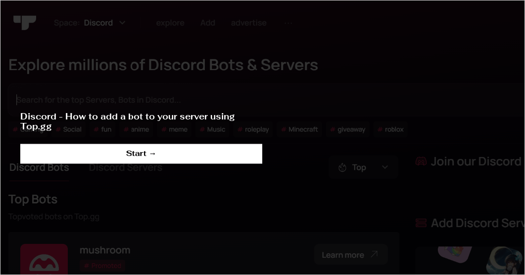 Discord Bots & Servers