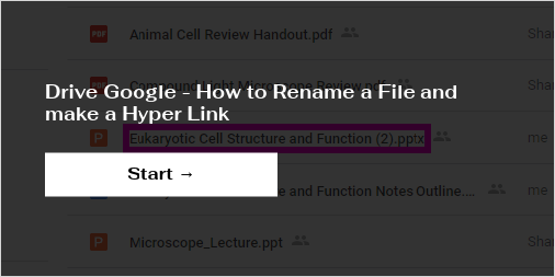 how do i rename a google doc link