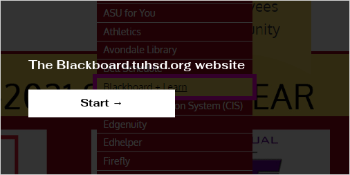 Tuhsd blackboard store