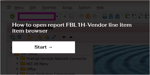 how-to-open-report-fbl1h-vendor-line-item-item-browser